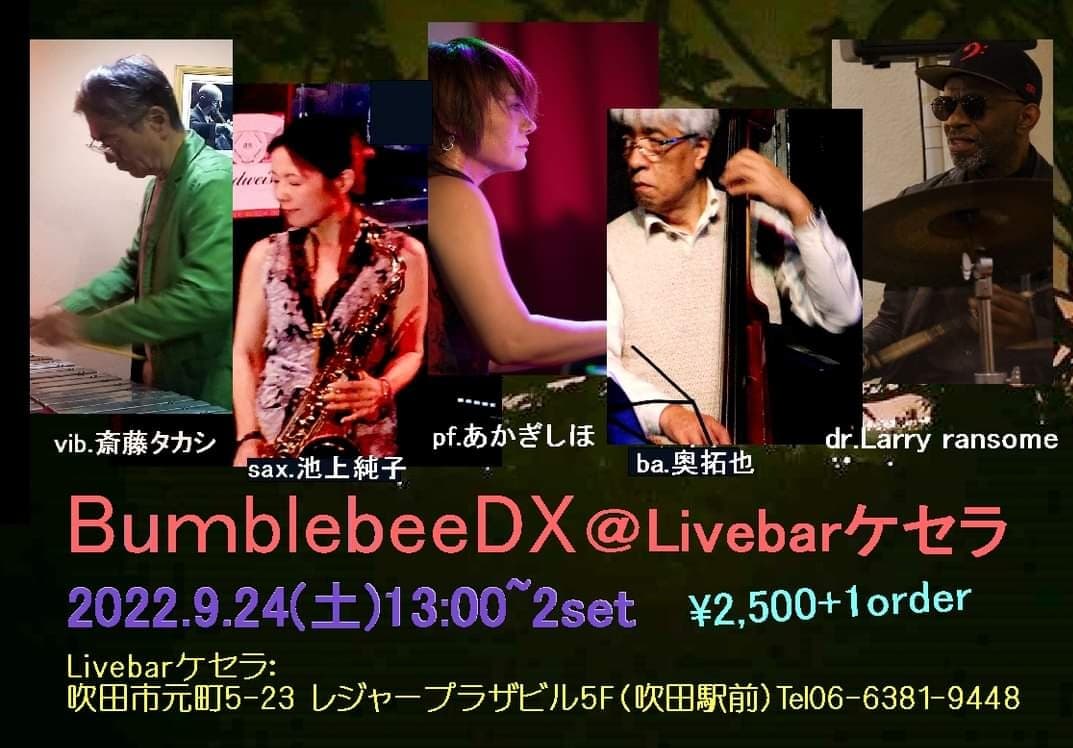 9月24日BamblebeeDX
